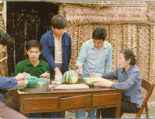 冯毛同学吃瓜,揭秘校园里的“瓜田”趣事