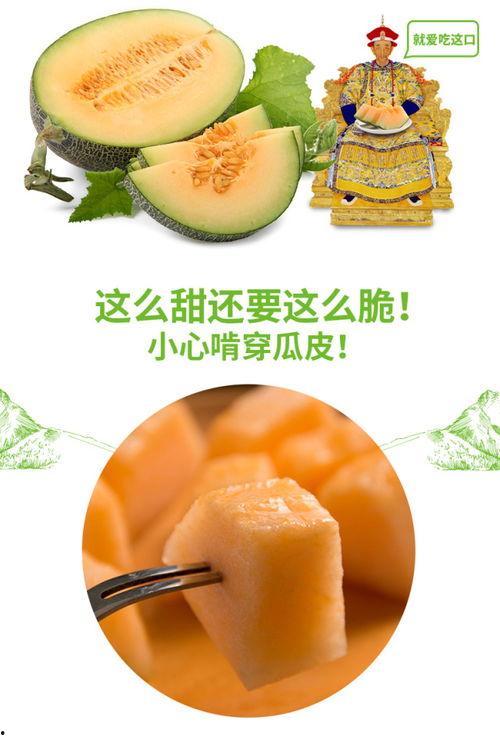 小强吃蜜瓜,小强甜蜜蜜瓜之旅