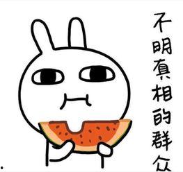 过年吃瓜文案短句图片,吃瓜乐趣无限——过年吃瓜文案短句图片集锦