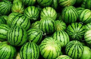 秘密花园吃瓜群,网络社交的另类风景