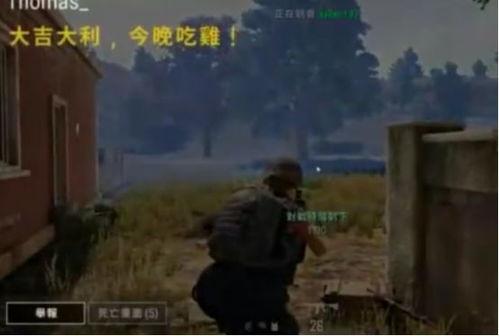 吃鸡视频吃瓜,揭秘游戏背后的趣味故事