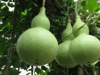 日南吃瓜,揭秘娱乐圈背后的那些事儿