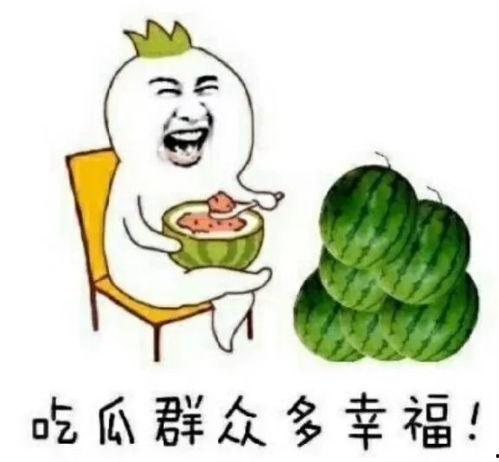 因为吃瓜有快乐,揭秘瓜界背后的欢乐秘密
